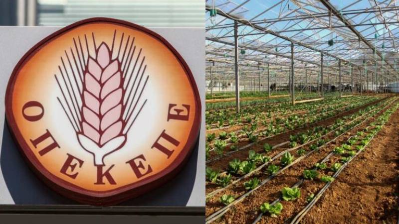OΠΕΚΕΠΕ: Πότε θα δουν οι αγρότες τα λεφτά των επιδοτήσεων (βίντεο)