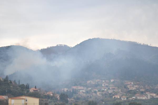 Κινδύνευσε από πυρκαγιά το Σελλά Τριφυλίας