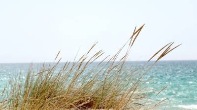 Στην προώθηση του αλιευτικού τουρισμού στοχεύει το μνημόνιο που υπογράφη μεταξύ των υπ. Τουρισμού και Αγροτικής Ανάπτυξης και Τροφίμων