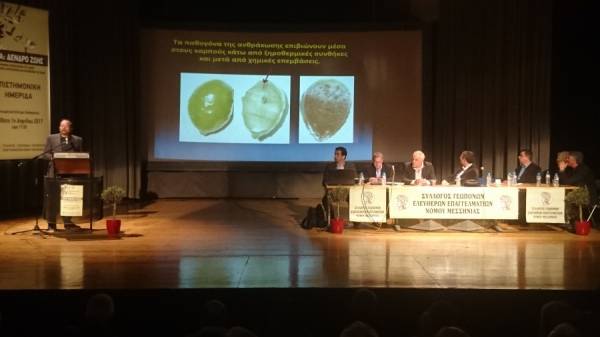 "Εύφορη Γη": Επιστήμονες για την αντιμετώπιση των εχθρών και των μυκητολογικών ασθενειών της ελιάς (vid)