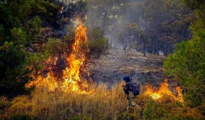 Ανυπολόγιστη καταστροφή στη Ρόδο - Κάηκαν 135.000 στρέμματα «καθαρής» δασικής έκτασης
