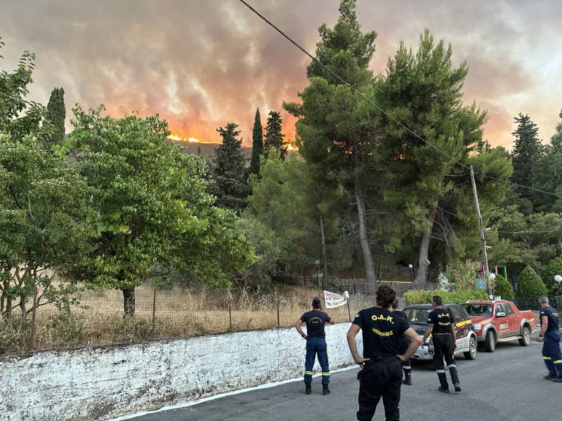 ΟΑΚ Μεσσηνίας: Συνδρομή σε 37 πυρκαγιές και 95 περιπολίες κατά την αντιπυρική περίοδο