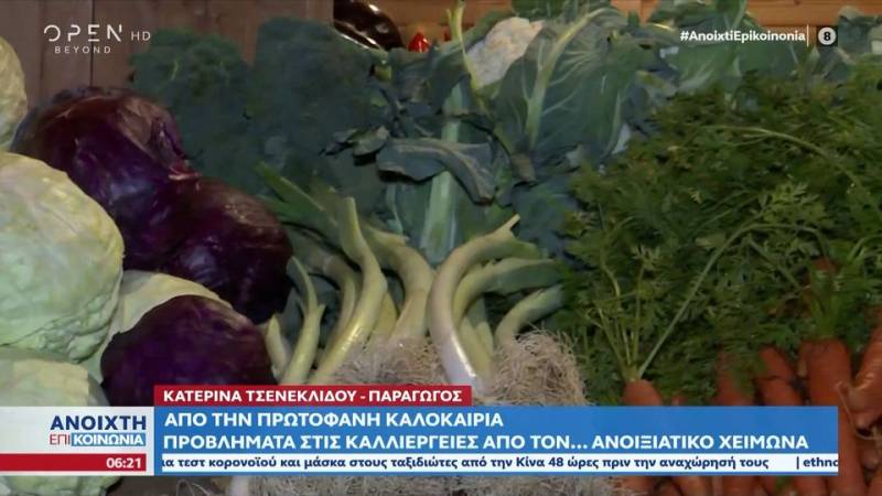 Προβλήματα στις καλλιέργειες από τον... ανοιξιάτικο χειμώνα (βίντεο)