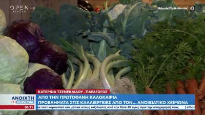 Προβλήματα στις καλλιέργειες από τον... ανοιξιάτικο χειμώνα (βίντεο)