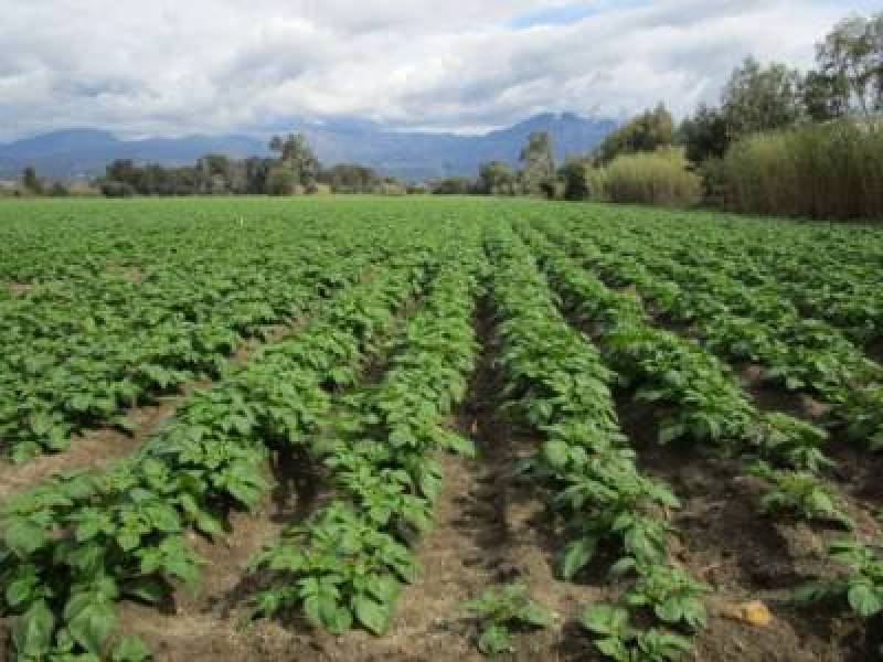 Δανειοδότηση για αγορά αγροτικής γης