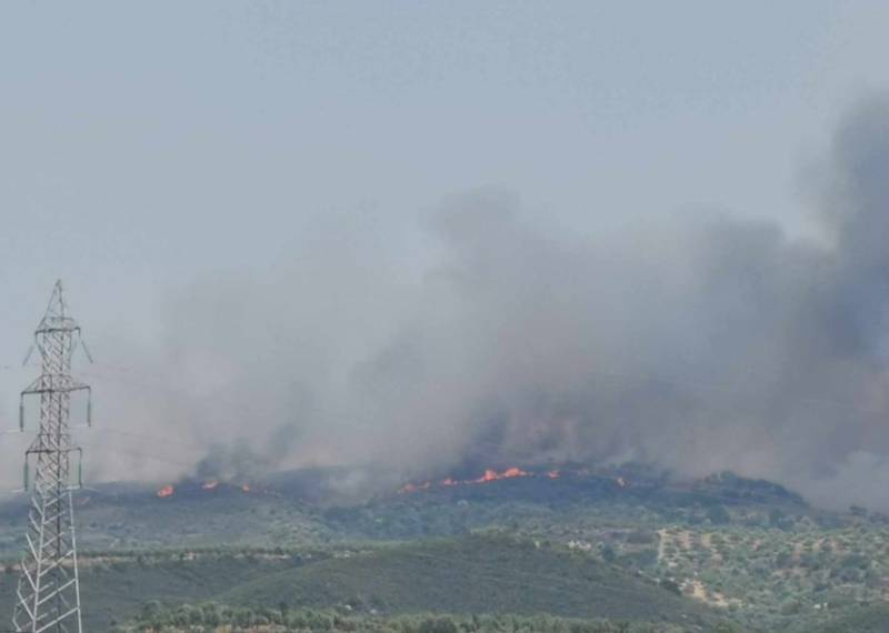 Φωτιά στη Σπάρτη – Ισχυροί άνεμοι στην περιοχή
