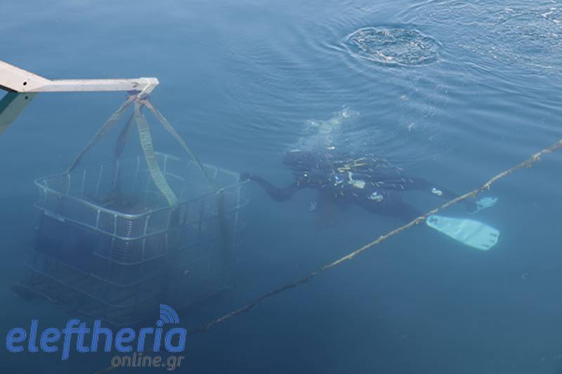 Εθελοντικός καθαρισμός του βυθού στο λιμάνι της Καλαμάτας (βίντεο-φωτογραφίες)