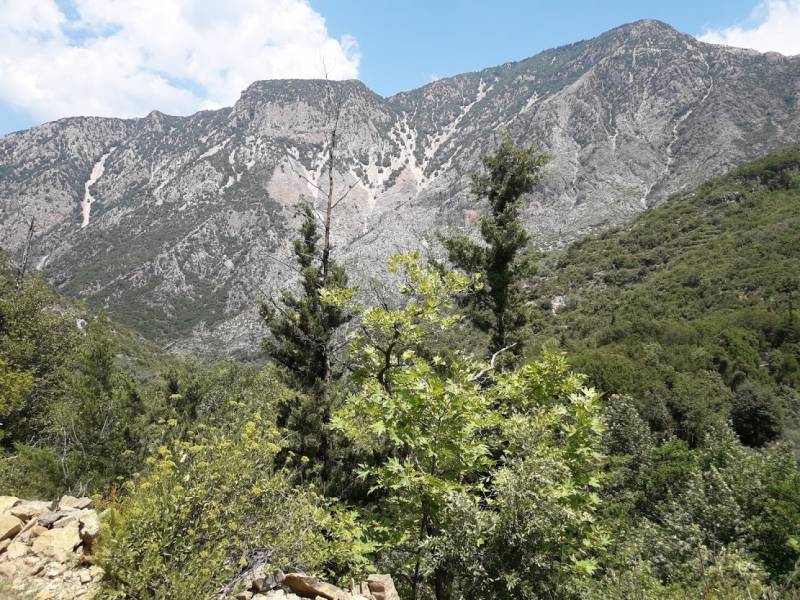 Μάστερ πλαν για τουρισμό προτείνει ο Μάκαρης