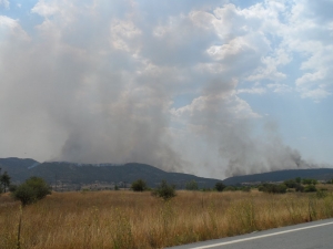 Σε ύφεση η φωτιά στην Αρκαδία (Φωτογραφίες)