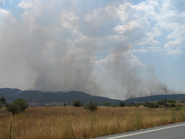 Σε ύφεση η φωτιά στην Αρκαδία (Φωτογραφίες)