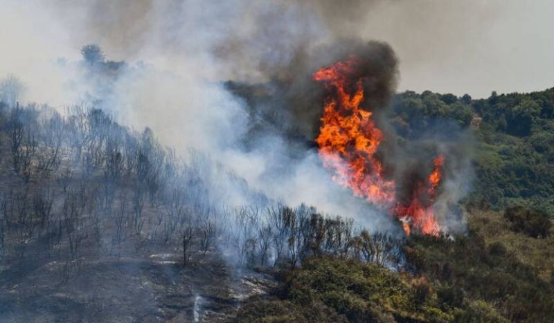 Αχαΐα: Σύλληψη άνδρα για πρόκληση 7 πυρκαγιών απο πρόθεση στην Ακράτα