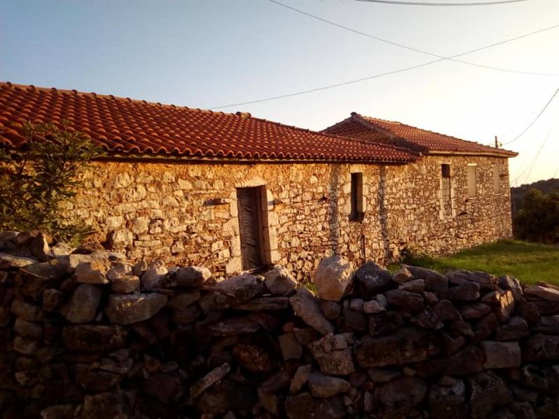 Αφιέρωμα στο Κόκκινου