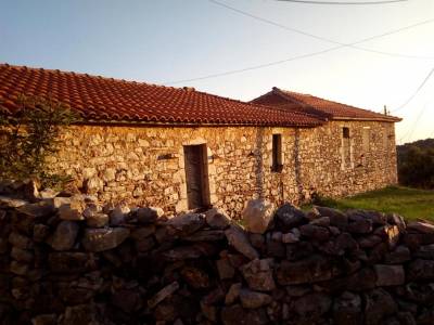 Αφιέρωμα στο Κόκκινου