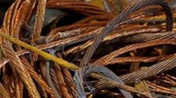 Ανήλικος τσιγγάνος έκλεβε μεταλλικά αντικείμενα από οικόπεδο στην Τραπεζοντή Λακωνίας