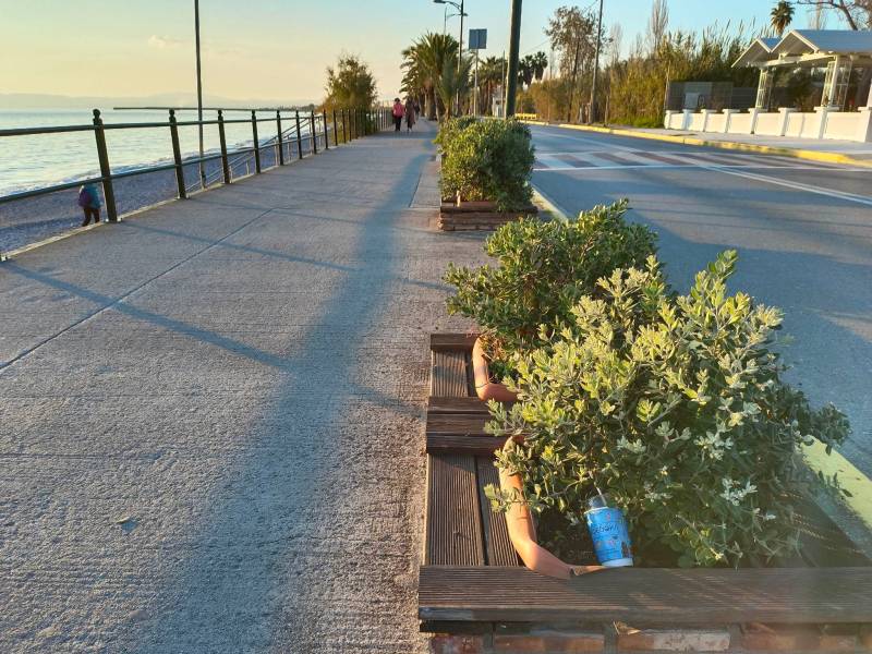 Σκουπίδια στις γλάστρες