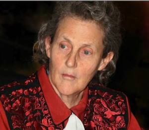 Ταινία για τον αυτισμό προβάλουν τα Εκπαιδευτήρια Μπουγά