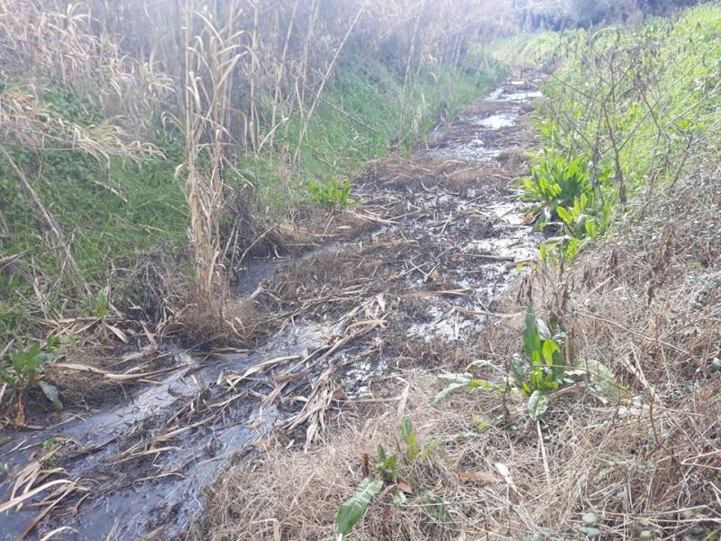 Εικόνα ρύπανσης σε χαντάκι και ρέμα στη Βαλύρα