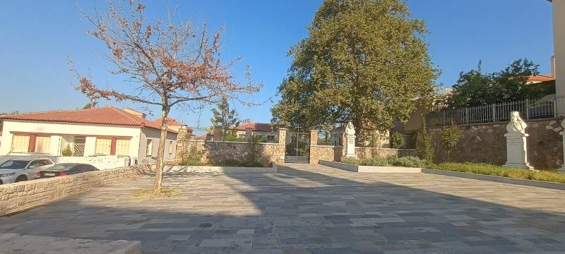 Ξεραμένος πλάτανος