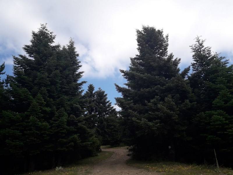 Ανάπτυξη Βοτανικού Πάρκου στο Αγροκήπιο Ταϋγέτου