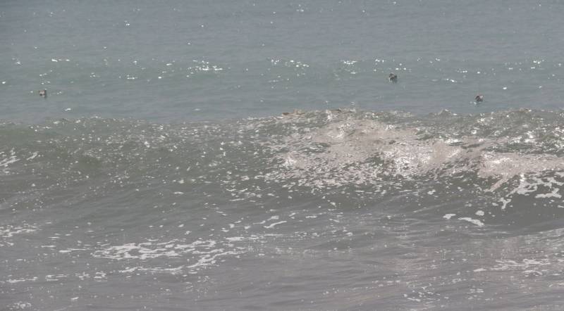 Καθησυχαστικό το Λιμεναρχείο για τη συγκέντρωση γύρης στην Παραλία της Καλαμάτας