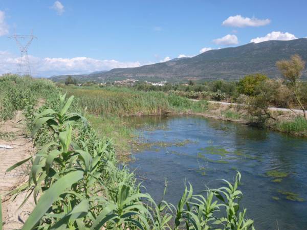 Eθελοντικός καθαρισμός του ποταμού Aρι με κάλυψη από τον ΣΚΑΪ
