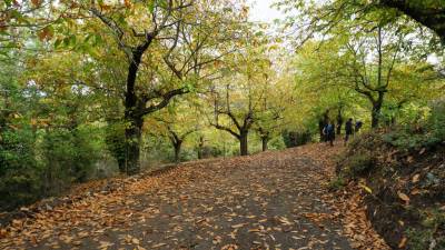 Εξόρμηση Ορειβατικού στον Πάρνωνα