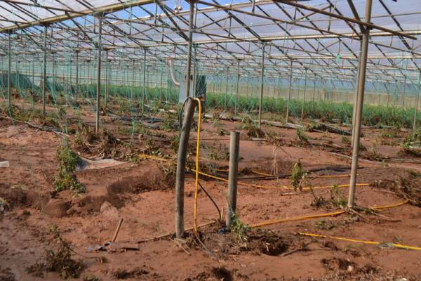 Mέτρα ανακούφισης των αγροτών ζητεί ο Αλευράς