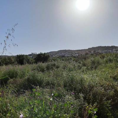 Πότε θα καεί η Μεσσηνία;