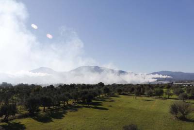 Το νέφος των πυρηνελαιουργείων
