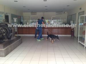 Φάρσα το τηλεφώνημα για βόμβα στη ΔΕΗ Καλαμάτας και στην ΑΤΕ Μεσσήνης