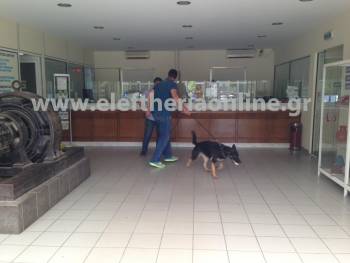 Φάρσα το τηλεφώνημα για βόμβα στη ΔΕΗ Καλαμάτας και στην ΑΤΕ Μεσσήνης