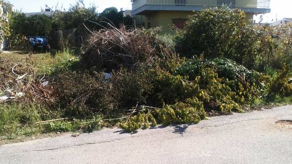 Σωροί από κλαδιά