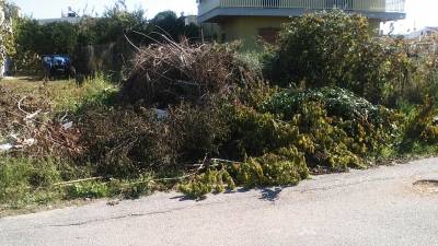 Σωροί από κλαδιά