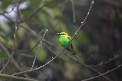 Τι λένε τα ζώδια σήμερα (17/2)