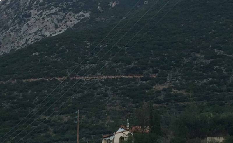 Συγχαρητήρια κ. Δήμαρχε - Συγχαρητήρια κ. Πρόεδρε