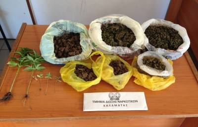 1,5 κιλό χασίς και 5 δενδρύλλια στην Αγαλιανή Τριφυλίας