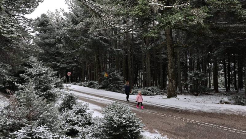 Καιρός: Στην «κατάψυξη» όλη η χώρα τη Δευτέρα (βίντεο)