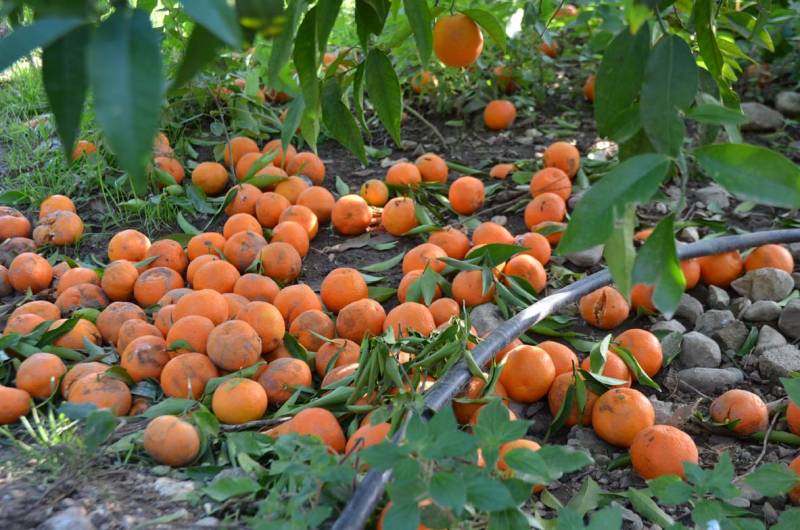 Ξεκινούν από τις 23 Απριλίου οι αιτήσεις για τα συστήματα πρόληψης ζημιών