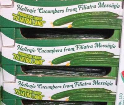 Εξαγωγή αγγουριών από τα Φιλιατρά στη Ρουμανία από την Ομάδα Παραγωγών «Γαία»