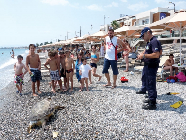 Νεκρή καρέτα - καρέτα στην Ανατολική Παραλία