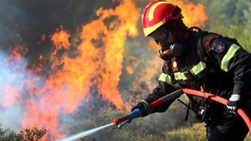 Πύργος: Υπό μερικό έλεγχο η φωτιά σε δασική έκταση στην περιοχή Διάσελλα Ηλείας