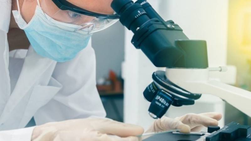 Tοξικός μύκητας της κατάρας των Φαραώ μετατρέπεται σε φάρμακο κατά της λευχαιμίας