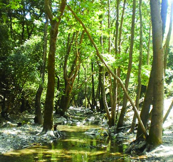 "Εναλλακτικές μορφές τουρισμού δωδεκάμηνη επισκεψιμότητα" την Κυριακή στην αίθουσα της "Ε"