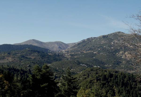 Σκοτώθηκε πέφτοντας σε χαράδρα 20 μέτρων