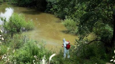 Καταπολέμηση των κουνουπιών στη Μεσσηνία