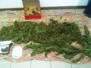 Στη φυλακή για το χασίς σε Αρφαρά και Μερόπη