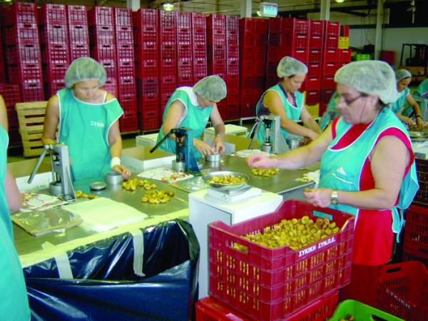 Εξώδικο της ΕΑΣ Λακωνίας: "Παρανομίες και ρουσφέτια στη Συκική με τις ευλογίες του Σαμαρά"