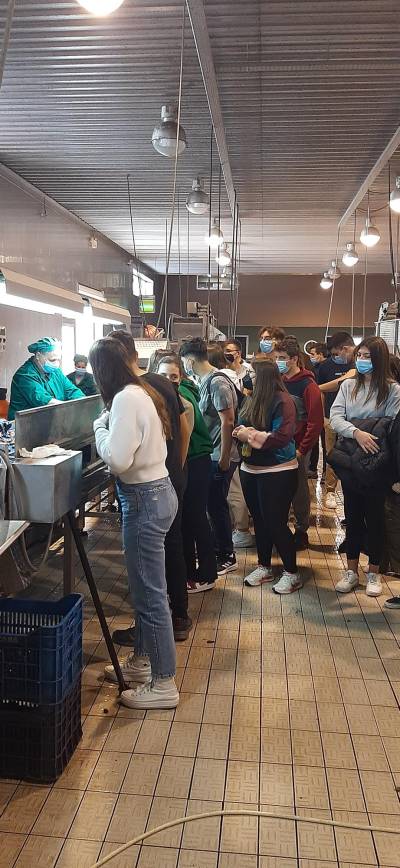 Μαθητές του 4ου Λυκείου Καλαμάτας σε επιχείρηση τυποποίησης ελαιολάδου