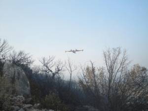 Πενήντα στρέμματα έκαψε η φωτιά στη Μαθία (φωτογραφίες)