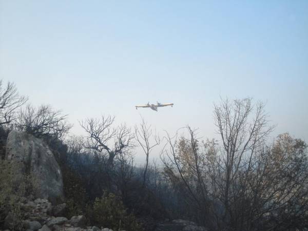 Πενήντα στρέμματα έκαψε η φωτιά στη Μαθία (φωτογραφίες)